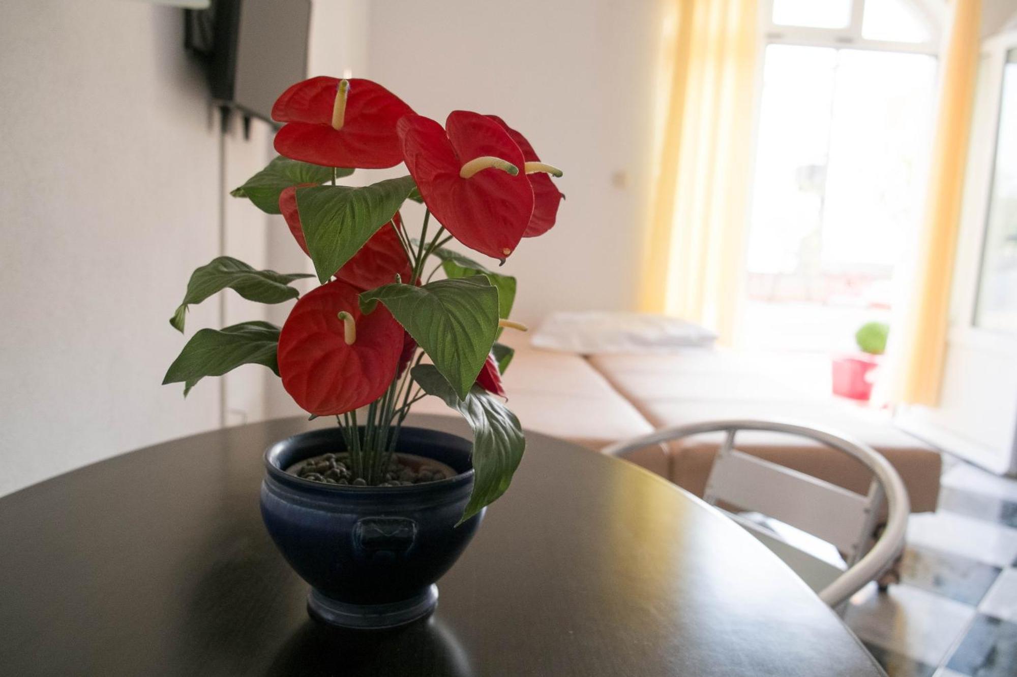 Apartments Damjanovic Makarska Chambre photo